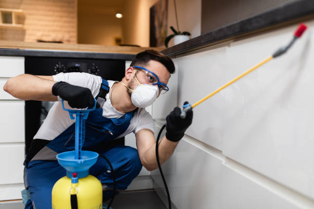 Best Ant Control Services  in Beardstown, IL