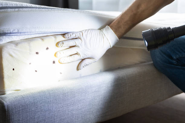 Best Pest Prevention Services  in Beardstown, IL